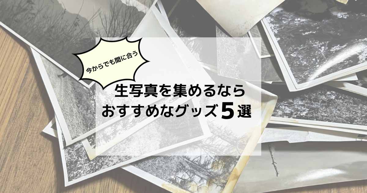 今からでも間に合う】生写真集めにおすすめなグッズ5選 - PiCKiNFO